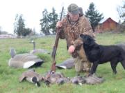 Terry Otto and his son Jeff took these spring geese on a private dairy. Wildlife areas and refuges are closed during the late season.