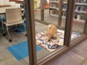 Therapy dog Sting relaxes in the library in White Bear Lake, Minn. His photo went viral after owner John Muellner posted on Facebook that no one had showed up to read to the 10-year-old greyhound.