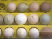 Fourteen eggs sit in an incubator under a live camera feed at Orchards Elementary School on Feb. 6. None of the eggs hatched.