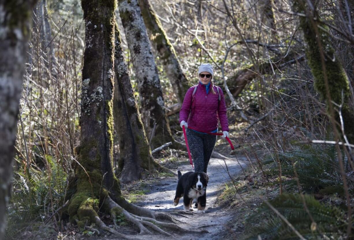 Shalaine Mistretta of Portland and her dog, Everest, walk along the upper section of the Cape Horn Trail. For years, the lower portion of the trail has seasonally closed to protect nesting peregrine falcons. Now a conservation organization is working to see the lower portion of the trail temporarily opened year round to hikers to see if birds and people can coexist peacefully, but the move is proving controversial among bird advocates. At top, signs at the entrance to the Cape Horn Trail remind hikers to be respectful of wildlife.