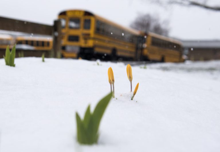 Pleasant Valley Primary School students load onto busses Tuesday morning. The school let out early because of heavy snowfall predicted throughout the day.