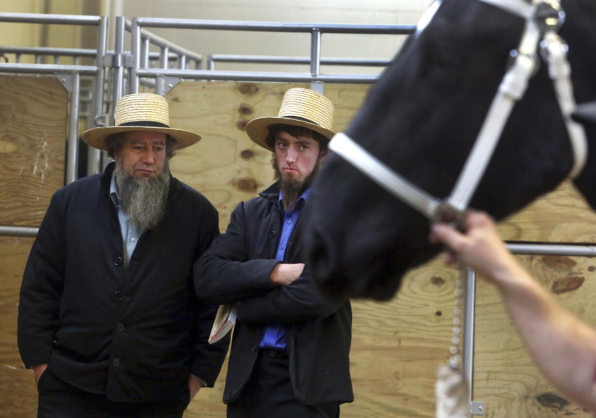 Men check out a horse before it goes up for auction in the small arena at the Pennsylvania Farm Show Complex Wednesday Jan.17, 2018 in Harrisburg, Pa. Amish from all over the country come to Harrisburg to buy and sell their massive draft horses and magnificent harness horses. The first major horse sale of the year also draws non-Amish horse fans, lured by the “Cadillac” quality of the animals, and vendors of everything from saddles to buggies to custom-made harnesses.