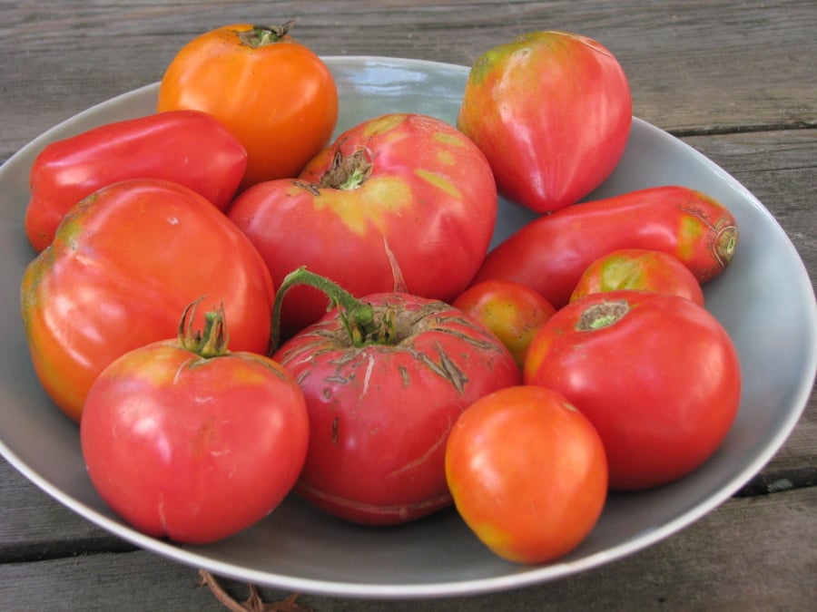 Aphrodisiac plants are as close as your supermarket The Columbian