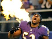 Baltimore Ravens linebacker Ray Lewis.