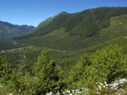 This 2005 photo looks west from Forest Road 26 northeast of Spirit Lake toward Goat Mountain, the area where Ascot USA Inc. wants to drill exploratory holes to study the possibility of mining for minerals such as copper, gold and molybdenum. The U.S. Forest Service has given its consent to allow the exploratory mining near Mount St. Helens.