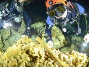 Divers from the Great Mayan Aquifer project explore the Sac Actun underwater cave system where Mayan and Pleistocene bones and cultural artifacts have been found submerged, near Tulum, Mexico.