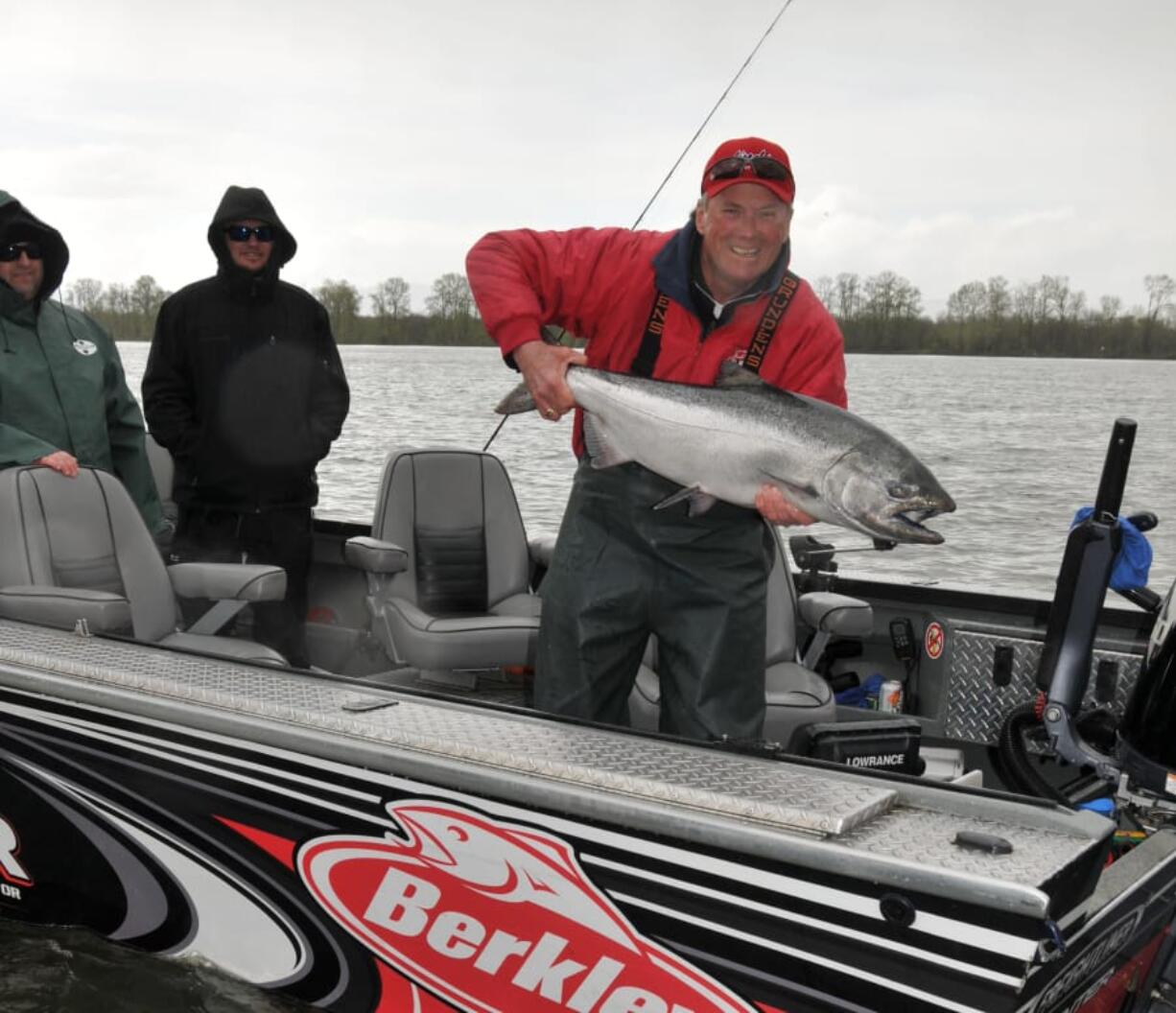 State fisheries managers say that low returns of spring Chinook to the Cowlitz River will not affect seasons on the main stem Columbia River, but restrictions on the Cowlitz are possible.