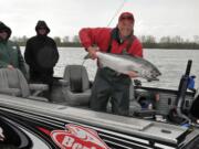 State fisheries managers say that low returns of spring Chinook to the Cowlitz River will not affect seasons on the main stem Columbia River, but restrictions on the Cowlitz are possible.