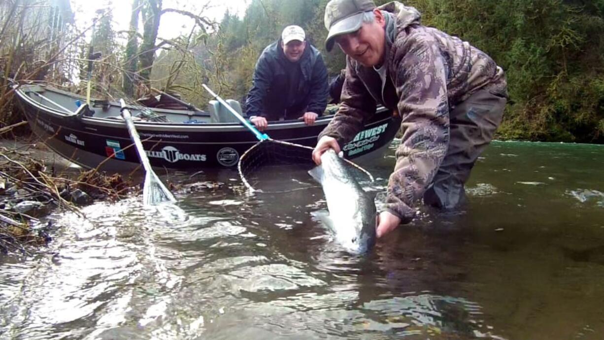 Steelheading is heating up in the Cowlitz and Kalama Rivers. The fishing should stay strong through March.