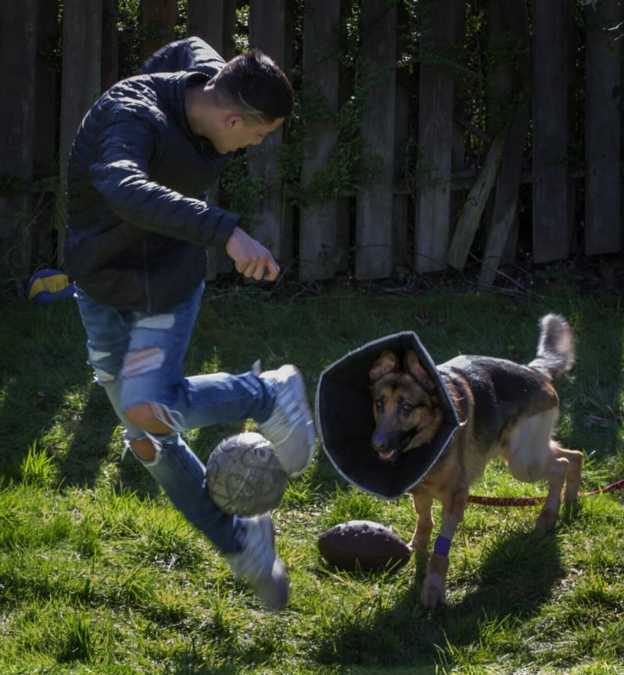 Javier Mercado, 16, plays with his dog Rex who was shot three times while protecting Javier during a home invasion in Des Moines, Iowa. Javier is seeing a psychologist, he and his parents have moved out of their home, and Rex now acts jittery. A GoFundMe raised $62,221 of $10,000 goal to pay for the dog’s surgery. Ellen M.