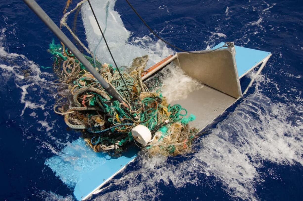 A piece of floating debris snagged during an ocean sampling operation.