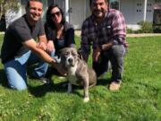 Steve the pit bull was reunited with his Fresno family March 23 after going missing for nearly a week. A Fresno couple, Chris and Justy Garcia, returned Steve to Nicholas Dodson, right.