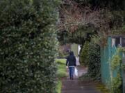 A pedestrian strolls through the rain along tree-lined streets in the Hough neighborhood March 13.