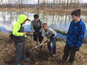 East County: Students from Dorothy Fox Elementary School plant trees in the Steigerwald National Wildlife Refuge. The Lower Columbia Estuary Partnership, which takes students into the refuge for habitat enhancement projects, received funding from the Camas-Washougal Community Chest to continue offering the trips.