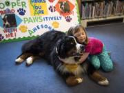 Lisa Wooten of Camas, 4, hugs Cooper, a Bernese mountain dog, Tuesday at the Camas Public Library. For the last four years, Camas High School teacher Kristi Bridges has let seniors work with her therapy dog, Cooper, for their senior project. The students bring Cooper to the library twice a week to help kids gain confidence and practice their reading skills. "She loves Cooper," said Lauren Wooten, Lisa's mom. "It really motivates her. She practices her reading at home to get ready." To sign up for a reading session with Cooper, contact the Camas Public Library at 360-834-4692.