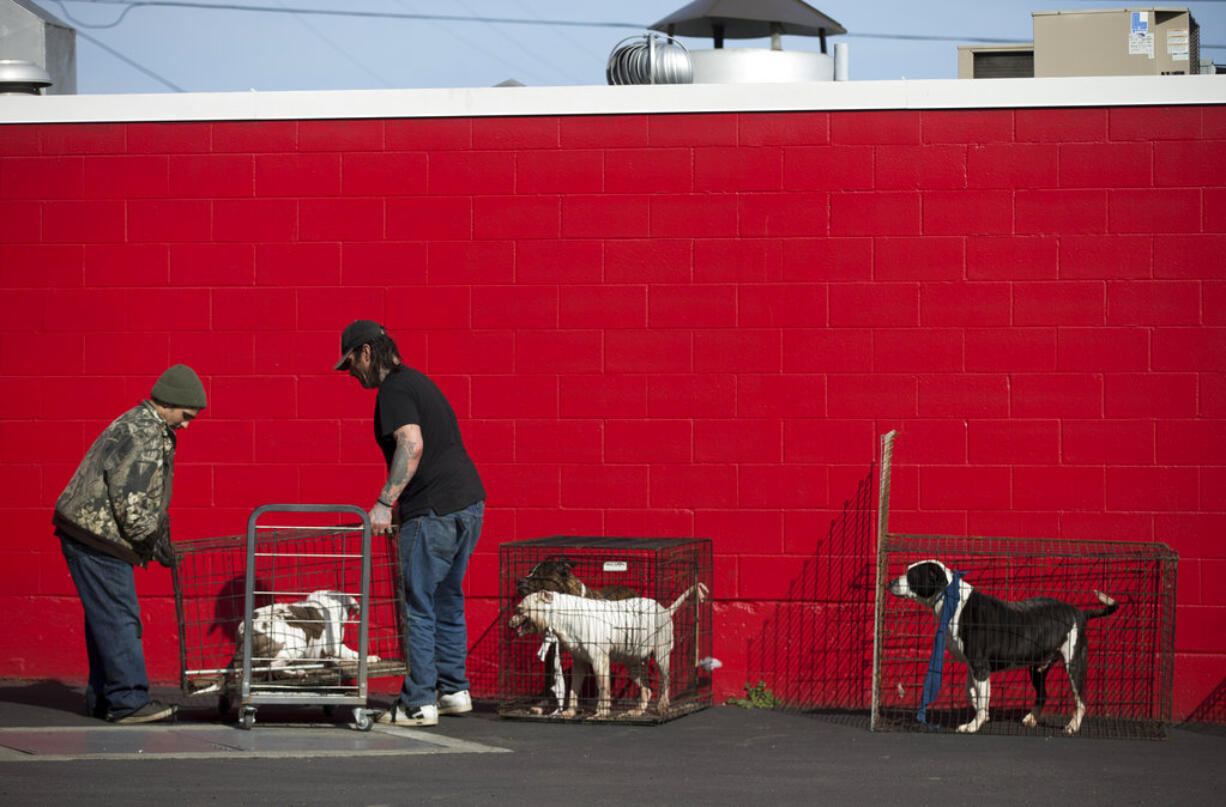 People help evacuate dogs believed to have been at one of the houses in the path of the smoke or in the evacuation area as a large, black plume of smoke rose into the sky in Northeast Portland on the morning of Monday, March 12, 2018. The fire eventually spread to a nearby apartment building and duplex, burning some units.