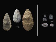 These artifacts were found in Olorgesailie Basin. For hundreds of the thousands of years, people living there made and used large stone-cutting tools called handaxes, left. At right are more sophisticated tools, found in the same area, which were carefully crafted and more specialized than the large, all-purpose handaxes.