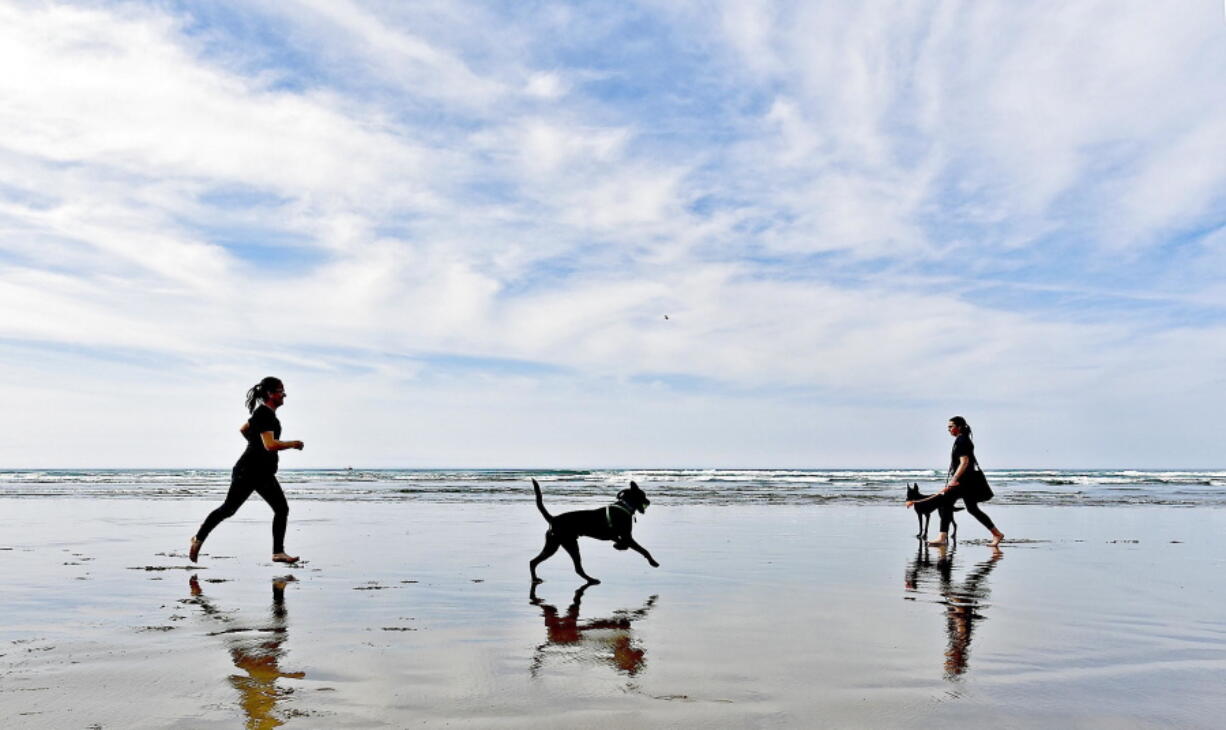 Visitors to Cannon Beach, Ore., walk and play with their pets on Monday. A new volunteer group has formed there to assist pets and pet owners in case of an emergency.