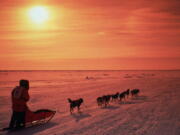 A musher drives his team across the frozen Norton Sound near Nome, Alaska, during the Iditarod Trail Sled Dog Race. The 46th running of Alaska’s famed Iditarod Trail Sled Dog Race kicks off Saturday, March 3, 2018, amid the most turbulent year for organizers beset by multiple problems, including a champion’s dog doping scandal, the loss of major sponsors, discontent among race participants and escalating pressure from animal rights activists, who say the dogs are run to death or left with serious injuries.