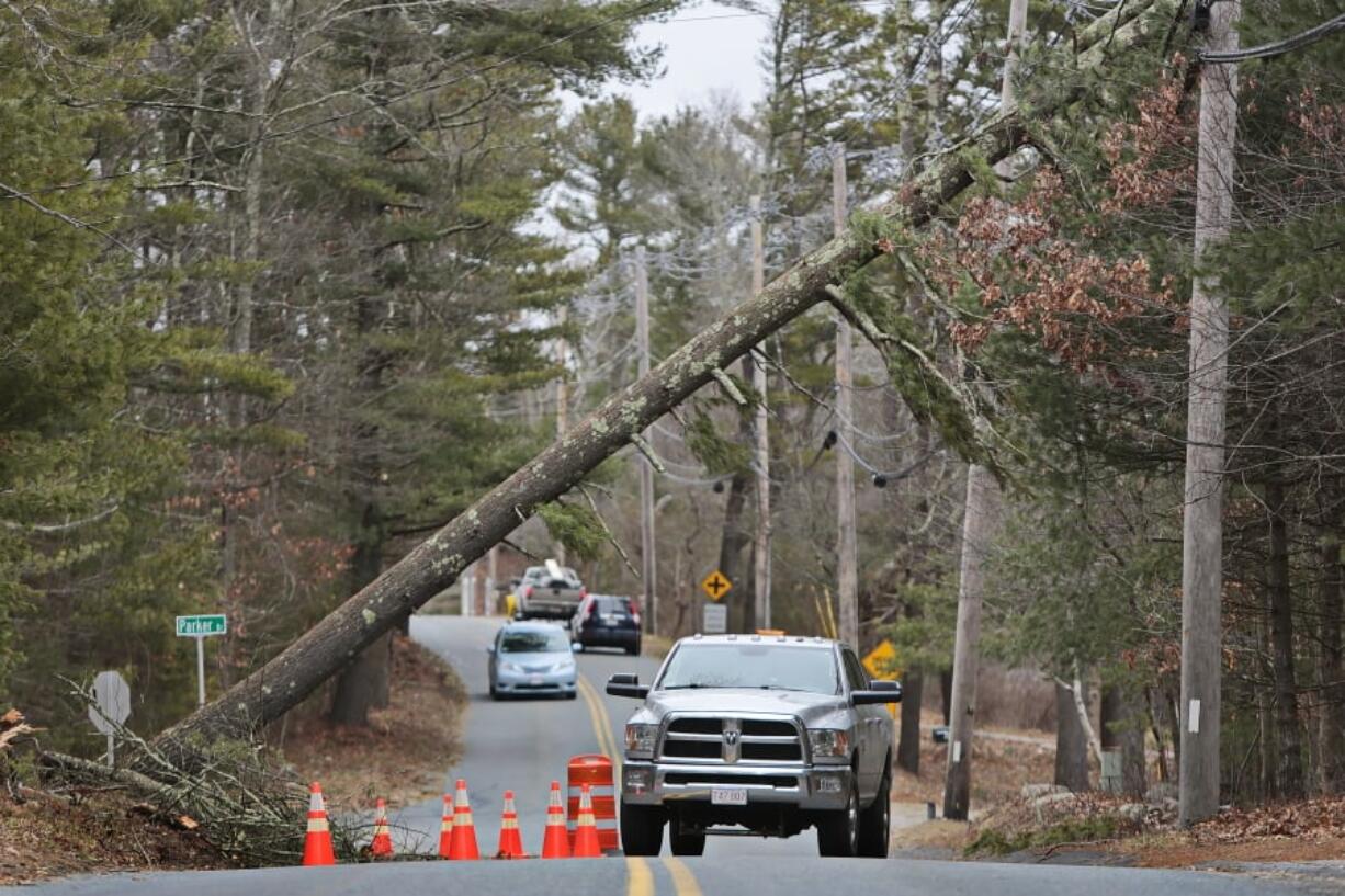 Vehicles drive under a white pine tree that is leaning across the road in Freetown, Mass., on Tuesday. Utilities are racing to restore power to tens of thousands of customers in the Northeast still without electricity after last week’s storm as another nor’easter threatens the hard-hit area with heavy, wet snow, high winds, and more outages.