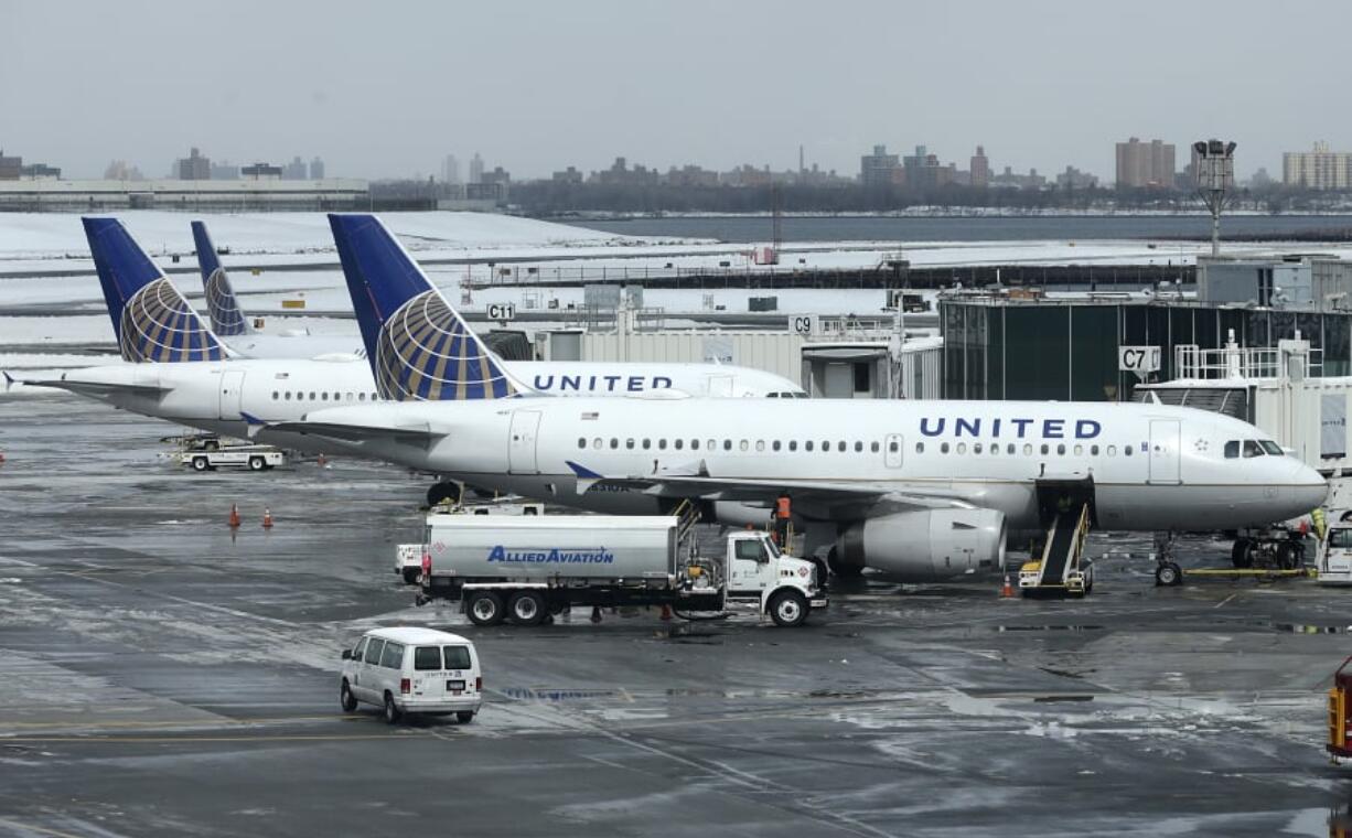 A United Airlines jets sit on the tarmac in 2017 at LaGuardia Airport in New York. A dog died on a United plane after a flight attendant ordered its owner to put the animal in the plane’s overhead bin on a Monday night flight from Houston to New York.