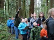 Battle Ground: Tukes Valley Primary School students visited the Center for Agriculture, Science and Environmental Education campus on March 19 to work on their project, “The Forests of Washington State.”