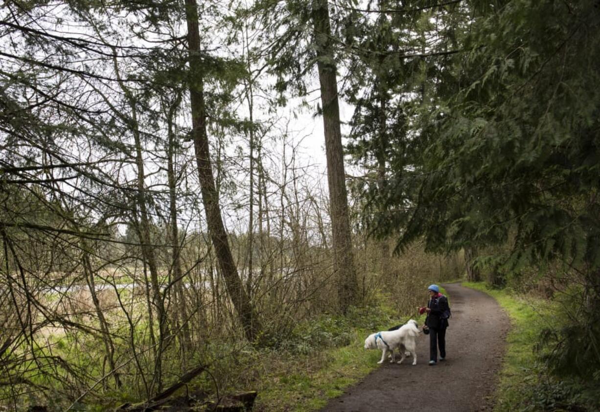 Sheryl Beauchaine of Vancouver walks her daughter’s dogs recently on Heritage Trail along Lacamas Lake. The biofilter in the lake has not been maintained for about 30 years, causing it to become overgrown with trees.