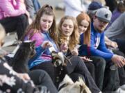 Evergreen’s Trinity Fitzgerald, 17, left, feeds a goat a piece of her program as classmates Ciara Lawrence, 17, Alyssa Kinkead, 17, and Jaden Maxwell, 17, watch.