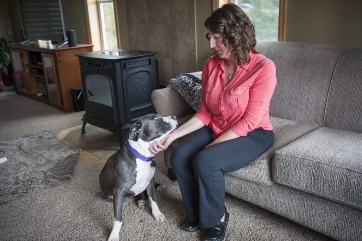 Registered nurse Shannon Sathre says her 3-year-old American Staffordshire terrier, Daisy, has been a comforting presence when she arrives home after work. Sathre was allegedly assaulted by a patient in December.