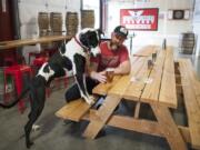 Jeff Seibel and his dog, Zeus, inspect a pint at Ghost Runners Brewery’s taproom, 4216 N.E. Minnehaha St. After a monthslong civil case against a former investor, the brewery will lose a lease at The Waterfront Vancouver but keep its taproom.