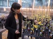 Stephanie Porter, assistant professor at Washington State University Vancouver, describes one of her current research projects in the WSU Vancouver greenhouses on Tuesday. Porter’s lab is investigating whether crops have evolved to rely on fertilizer instead of the beneficial bacteria their wild counterparts use to succeed. If so, the wild ancestors of some crops may offer clues as to how to grow agricultural crops more sustainably.