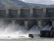 In this April 11, 2018 photo, water moves through a spillway of the Lower Granite Dam on the Snake River near Almota, Wash. Republican members of Congress from the Pacific Northwest are upset with a federal judge's order to spill water from the dam and three others on the Snake River in an attempt to help speed migrating salmon to the Pacific Ocean, saying the increased spill will result in lost power sales and could harm transportation, barging, flood control and irrigation systems. (AP Photo/Nicholas K.