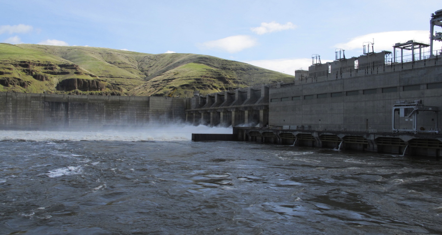 Water moves through a spillway of the Lower Granite Dam on the Snake River near Almota.  (AP Photo/Nicholas K.