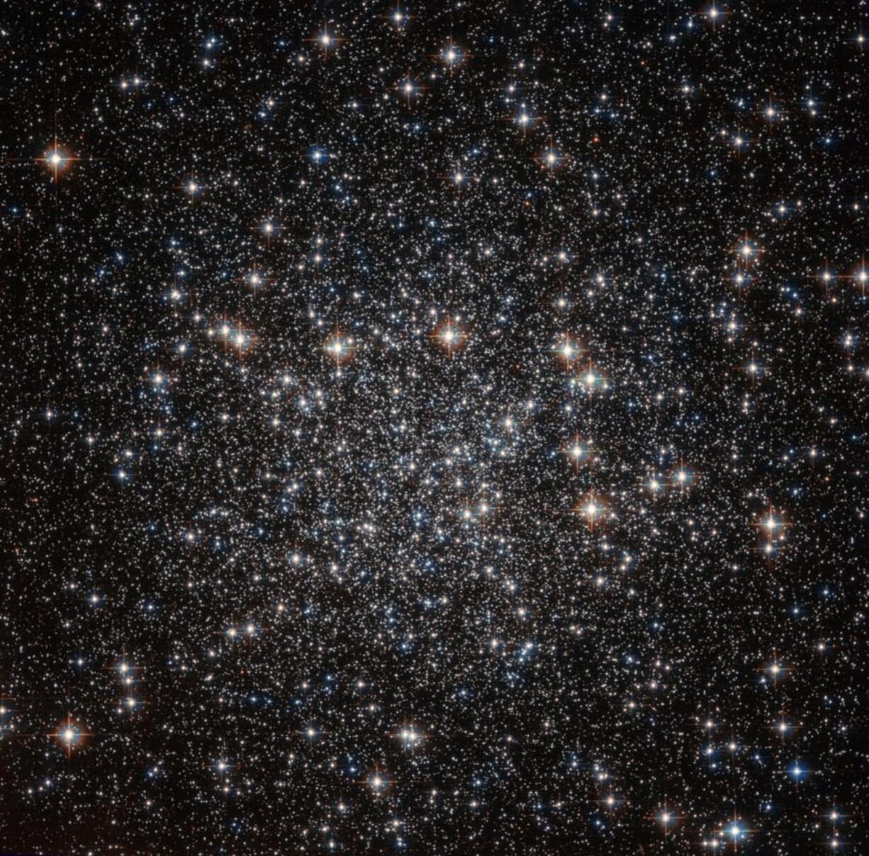 Located approximately 22,000 light-years away in the constellation of Musca, this tightly packed collection of stars — known as a globular cluster — goes by the name of NGC 4833.