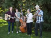 Bluegrass among the evergreens. The Misty Mamas, featuring Katherine Nitsch, left, Eileen Rocci, April Parker and Tony Rocci, are getting ready for a series of CD release concerts this summer. Here they try a little outdoor harmonizing in Nitsch’s back yard in the Mount Vista neighborhood.