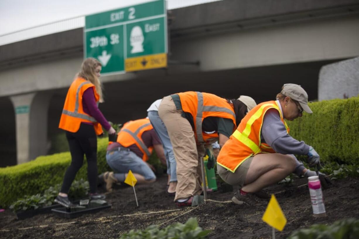 Volunteers from the Master Gardener program through Washington State University Extension plant sunpatiens along Interstate 5 at the “Welcome to Washington” sign, an annual partnership between the program and Washington State Department of Transportation.