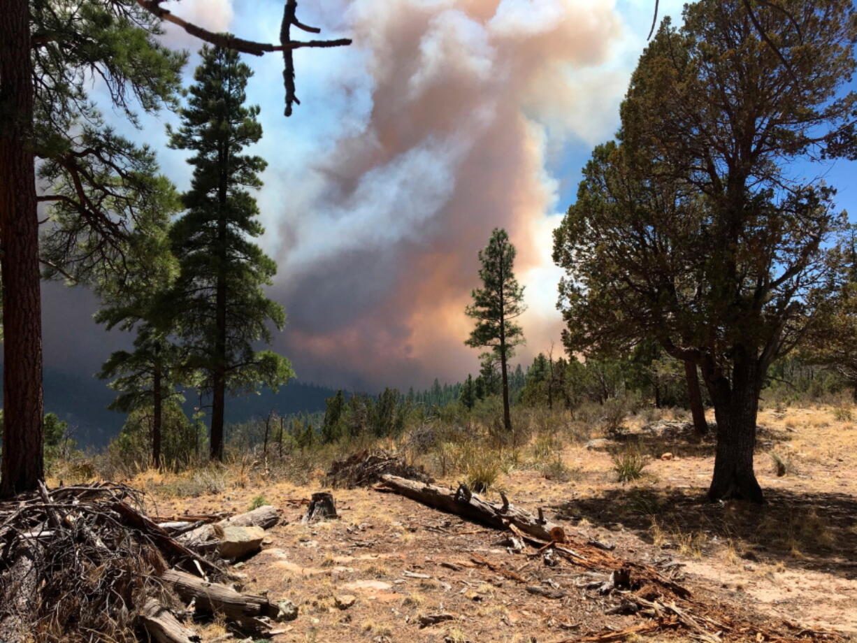 A wildfire burns in north-central Arizona. The wildfire has grown and firefighters expect that winds and dry conditions may cause it to increase in size.