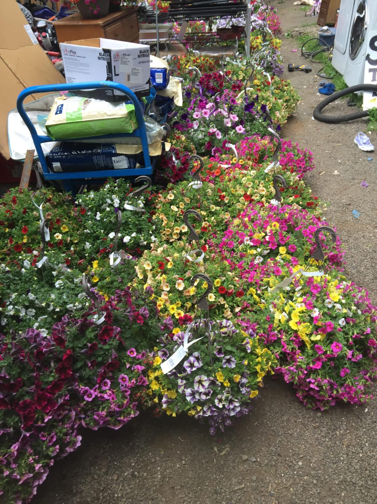 Vancouver police arrested 41-year-old Thomas M. Aldin on suspicion of stealing thousands of dollars worth of plants from the store’s gardening center.