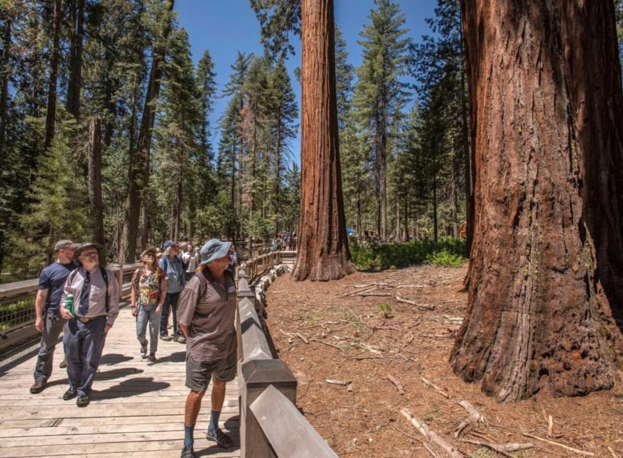 Yosemite National Park and Yosemite Conservancy reopened the Mariposa Grove of giant sequoias in Northern California after a nearly three-year renovation.