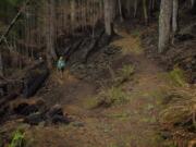 Crews hike in to work on restoring a section of the Pacifc Crest Trail on the Oregon side of the Columbia River Gorge. The PCT was reopened just recently, although many trails in the areas most heavily burned by last summer’s Eagle Creek Fire are still closed.