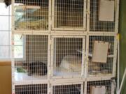 Walnut Grove: The “kitty condo” Furry Friends bought using grant money from the Firstenburg Foundation.