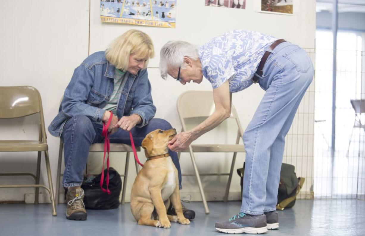 Carol “C.J.” Andrew, owner of C.J.’s Dog Training uses rewards as a way to train dogs in her classes, versus punishment techniques such as shock collars and choke chains.