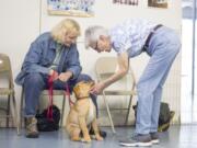 Carol “C.J.” Andrew, owner of C.J.’s Dog Training uses rewards as a way to train dogs in her classes, versus punishment techniques such as shock collars and choke chains.