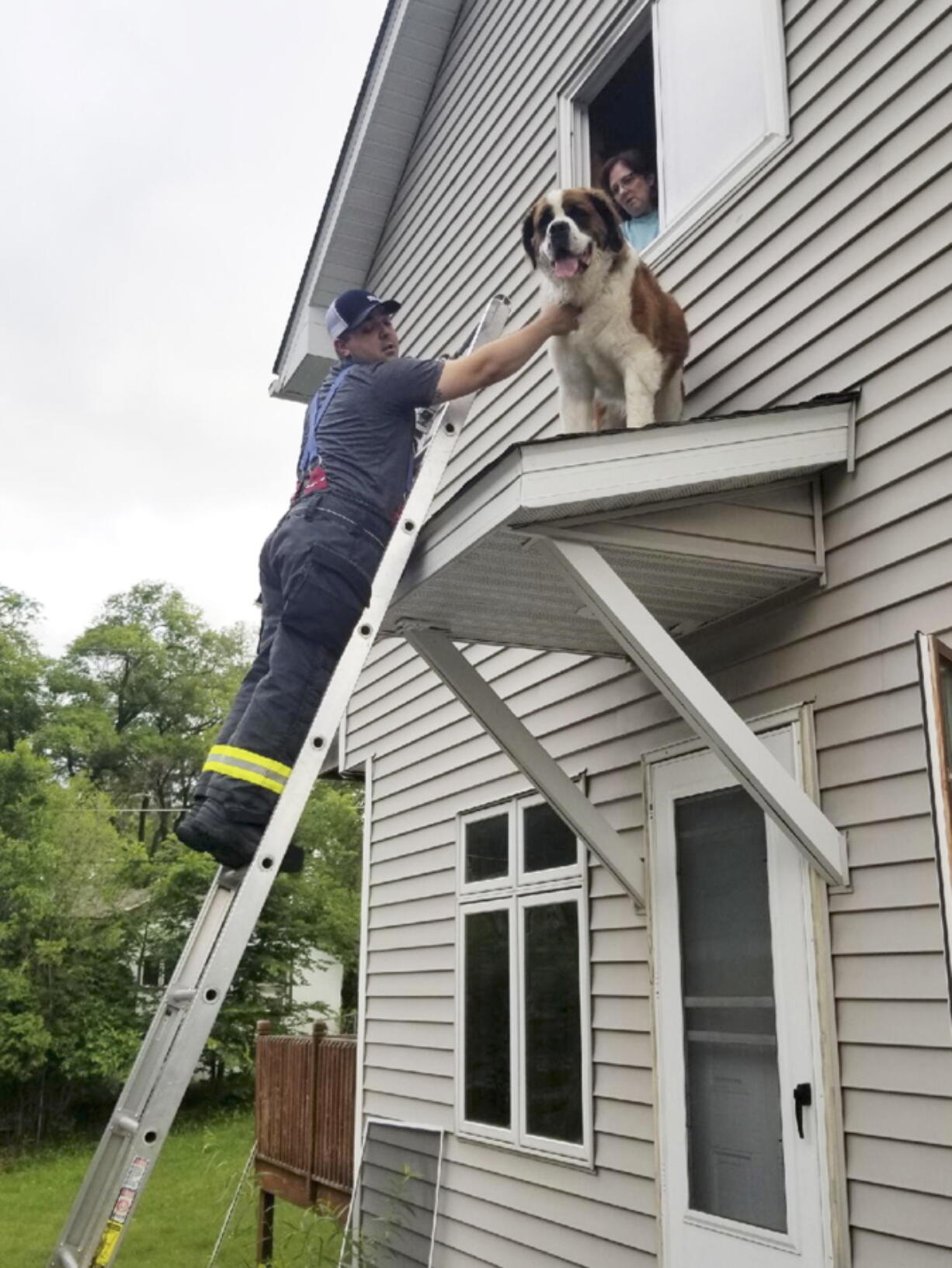 Firefighter David O’Keeffe helps rescue a Saint Bernard named Whiskey from a small roof above a door of a home in Spring Lake Park, Minn., on June 8.