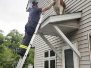 Firefighter David O’Keeffe helps rescue a Saint Bernard named Whiskey from a small roof above a door of a home in Spring Lake Park, Minn., on June 8.