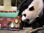 FILE - In this Aug. 20, 2016, file photo, Mei Xiang, mother of giant panda cub Bei Bei, eats Bei Bei’s birthday cake at the National Zoo in Washington, during a celebration of Bei Bei’s first birthday. Officials closed the David M. Rubenstein Family Giant Panda Habitat on Sunday, June 24, 2018, to give Mei Xiang some quiet time because she is exhibiting behaviors that are in line with both a pregnancy and false pregnancy.