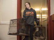 A member of the Community Engagement team assists in the rehoming of Katrina Glover’s cats in New York in March. Animal welfare experts say there are many sad but good reasons why people have to relinquish pets. Today’s shelters try to offer advice, material aid and other kinds of help to keep pets and owners together. But they also can help determine when it’s time to find a pet a new home.