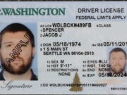 A sample copy of a Washington drivers license is shown at the Washington state Dept. of Licensing office in Lacey on Friday. Some Washington licenses and identification cards will soon be marked with the words “federal limits apply” as the state moves to comply with a federal law that increased rules for identification needed at airports and federal facilities. (AP Photo/Ted S.