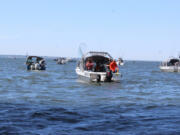 The Buoy 10 fishery at the mouth of the Columbia River is the largest salmon fishery in the Lower 48.