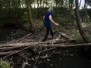 Vicki Hopper walks over a makeshift bridge that was built over Woodin Creek in Hidden Glen Park near her home in Battle Ground. The city has an upcoming habitat restoration project at the park and removed a pedestrian bridge, although the bridge removal was done a bit early due to vandalism.